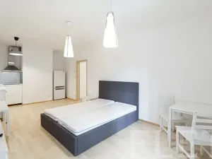 Pronájem bytu 1+kk, Praha - Žižkov, Olšanská, 43 m2
