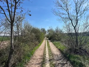 Prodej pozemku pro bydlení, Babice, K Žernovce, 806 m2