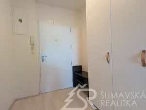 Prodej bytu 1+kk, Stachy, Zadov, 27 m2