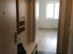 Pronájem bytu 1+kk, Brno, Vranovská, 26 m2