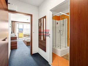 Prodej bytu 1+kk, Frymburk, 31 m2