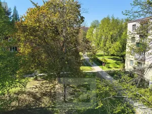 Pronájem bytu 2+kk, Ostrava, Karla Pokorného, 56 m2