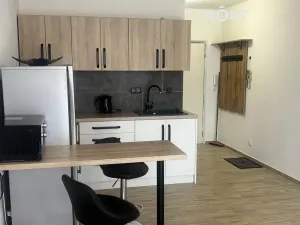 Pronájem bytu 1+kk, Nová Včelnice, Na Hliněnce, 27 m2