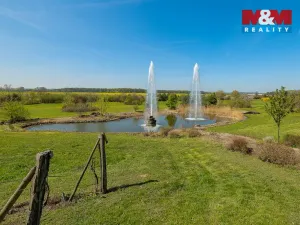 Prodej restaurace, Horka I - Svobodná Ves, 76556 m2