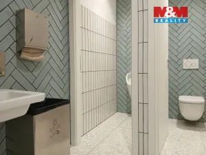 Prodej obchodního prostoru, Opava - Město, Masarykova třída, 160 m2