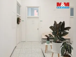 Prodej obchodního prostoru, Opava - Město, Masarykova třída, 60 m2