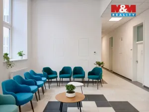 Prodej obchodního prostoru, Opava - Město, Masarykova třída, 20 m2