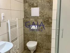 Pronájem bytu 1+kk, Rohatec, Moravní, 40 m2