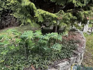 Prodej chaty, Vysoké Mýto, Sárovec, 25 m2