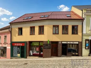 Prodej obchodního prostoru, Třebíč, Hasskova, 258 m2