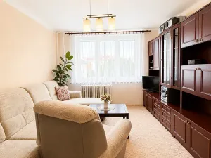 Prodej bytu 2+1, České Budějovice, J. Buděšínského, 52 m2