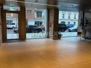 Pronájem bytu 2+kk, Praha - Karlín, Křižíkova, 66 m2