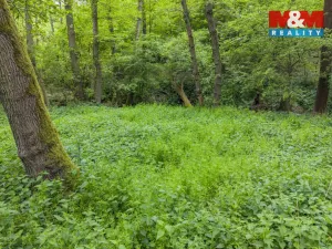 Prodej lesa, Červené Pečky - Bohouňovice I, 491 m2