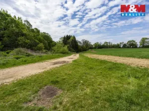 Prodej louky, Vlašim - Domašín, 1137 m2