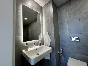Pronájem bytu 2+kk, Praha - Žižkov, Krásova, 38 m2