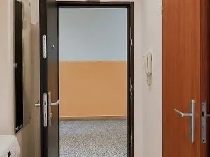 Pronájem bytu 1+kk, Ostrava, Krakovská, 27 m2