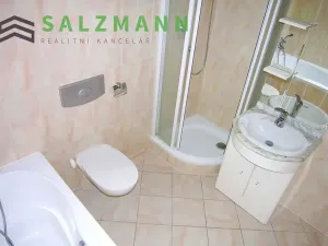 Pronájem bytu 2+kk, Plzeň, Rokycanská, 60 m2