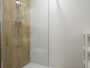 Pronájem bytu 1+kk, Ostrava, Cihelní, 19 m2