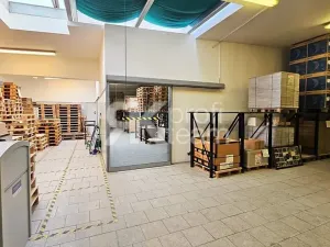 Prodej činžovního domu, Opava, Slezská, 1300 m2