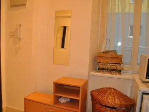 Pronájem bytu 1+kk, Brno, Ptašínského, 18 m2