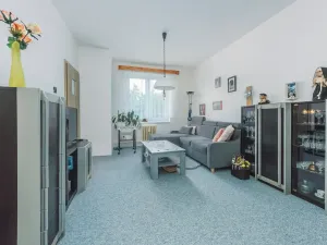 Prodej bytu 2+1, Pardubice, K Blahobytu, 53 m2