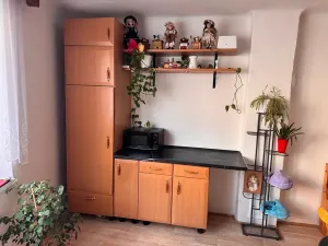 Pronájem rodinného domu, Dobříč, 90 m2