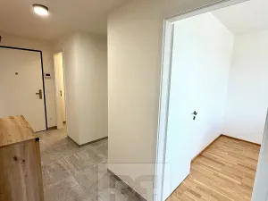 Pronájem bytu 4+kk, Praha - Modřany, Mezi vodami, 123 m2