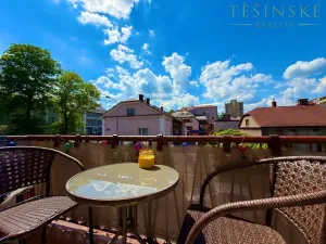 Prodej bytu 2+1, Český Těšín, Mánesova, 53 m2