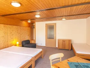 Prodej ubytování, Mařenice, 497 m2