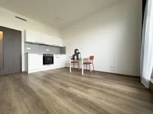 Pronájem bytu 1+kk, Praha - Hloubětín, Kolbenova, 30 m2