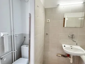 Pronájem bytu 2+1, Praha - Dejvice, Mydlářka, 54 m2