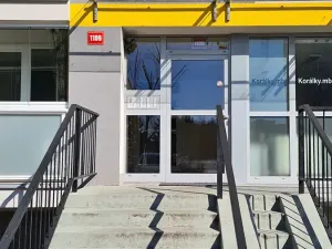 Pronájem bytu 2+kk, Mladá Boleslav, Jana Palacha, 45 m2