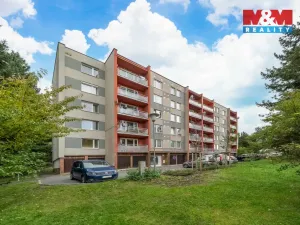 Pronájem bytu 1+1, Plzeň - Východní Předměstí, Motýlí, 39 m2