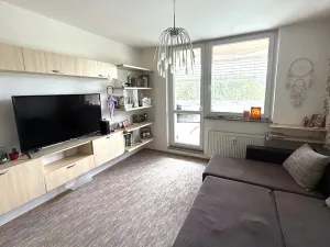 Pronájem bytu 3+1, Brno, Vrbenského, 64 m2