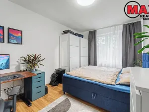 Prodej bytu 2+kk, Praha - Žižkov, Pod lipami, 53 m2