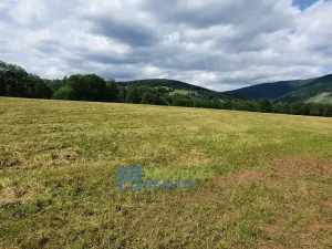 Prodej pozemku, Černý Důl - Čistá v Krkonoších, 4617 m2