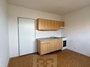 Pronájem bytu 1+kk, Písek, Za Pazdernou, 18 m2