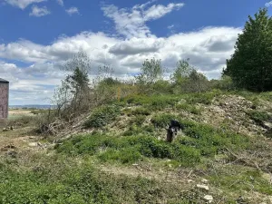 Prodej pozemku, Boršov nad Vltavou, Šumavská, 3633 m2