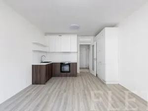 Pronájem bytu 1+kk, Praha - Hloubětín, Poděbradská, 33 m2