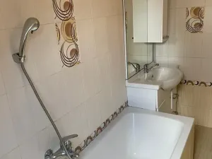 Pronájem bytu 1+kk, Vranovice, Hlavní, 35 m2