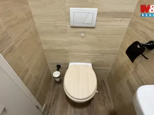 Prodej rodinného domu, Černovice, Dobešovská, 300 m2