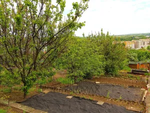 Prodej zahrady, Kadaň, Zahradní, 385 m2