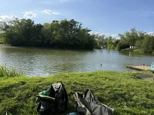 Prodej pozemku pro bydlení, Sokolnice, 2595 m2