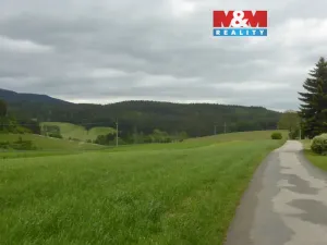 Prodej louky, Vysoká Srbská, 26000 m2