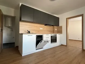 Pronájem bytu 3+1, Olomouc, 150 m2