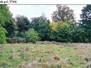 Prodej pozemku, Stráž nad Ohří, 2127 m2