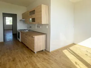 Pronájem bytu 2+1, Chomutov, Písečná, 59 m2