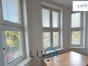 Pronájem bytu 1+1, Olomouc, Krakovská, 46 m2
