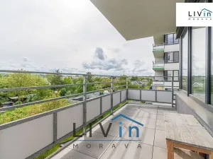 Pronájem bytu 2+kk, Olomouc, Loudova, 60 m2