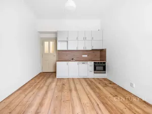 Pronájem bytu 1+kk, Praha - Nusle, Sezimova, 27 m2